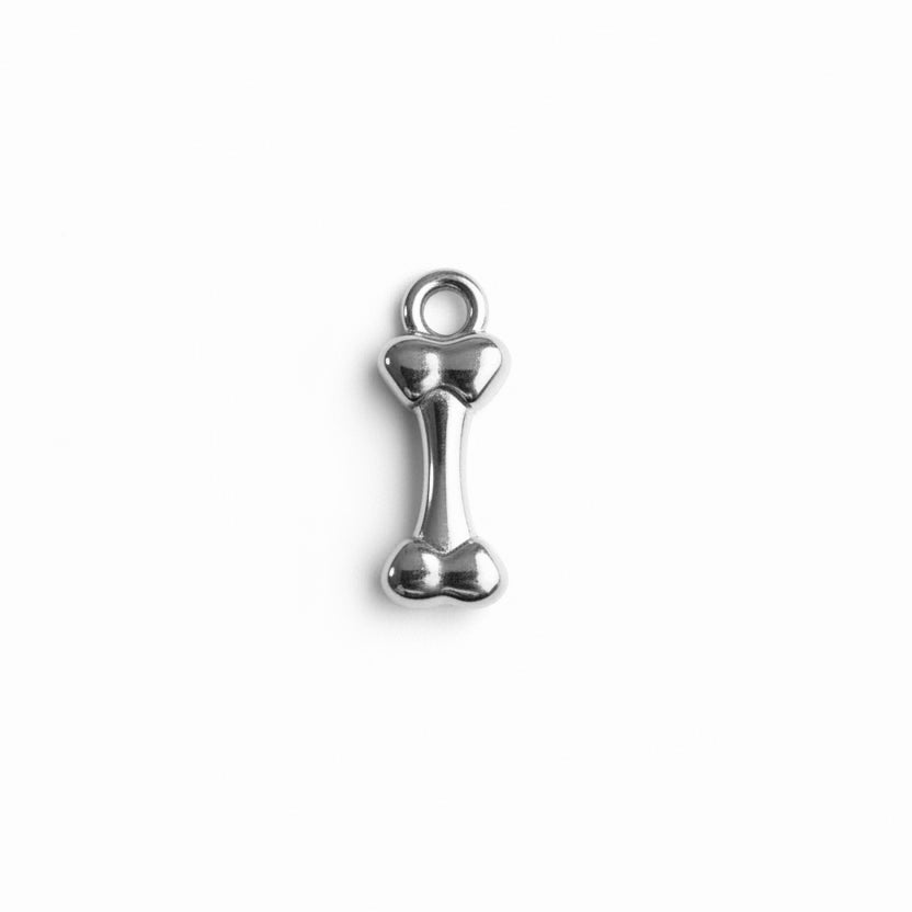 Silver Bone Charm