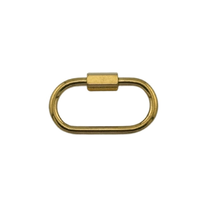 Gold or Silver Carabiner Charm Clip