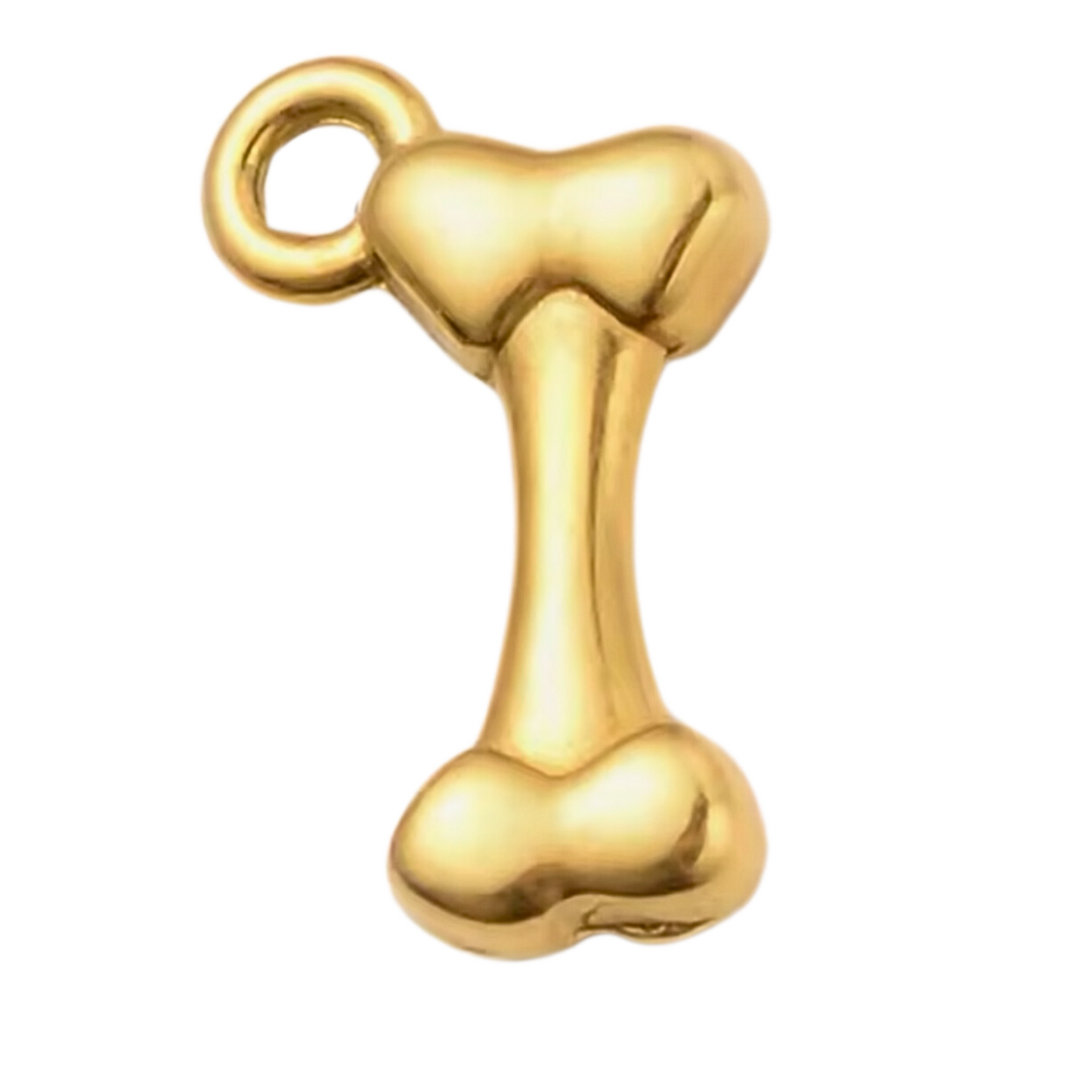 Gold Bone Charm