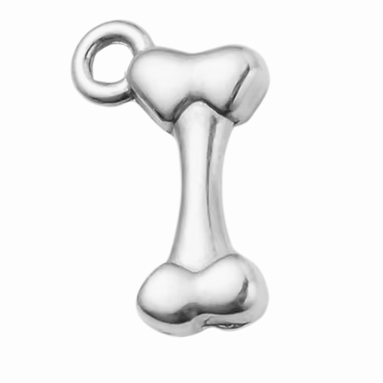 Silver Bone Charm