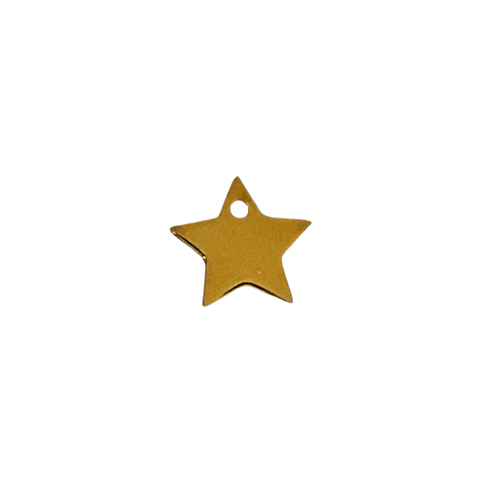 Gold Star Charm