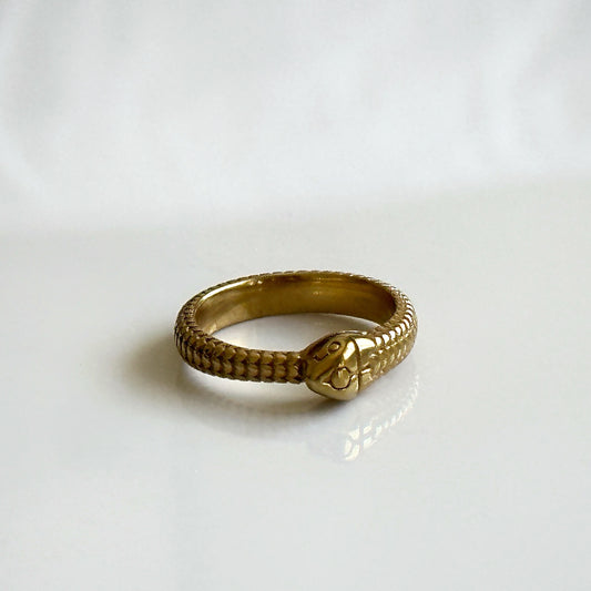 The Ouroboros Ring